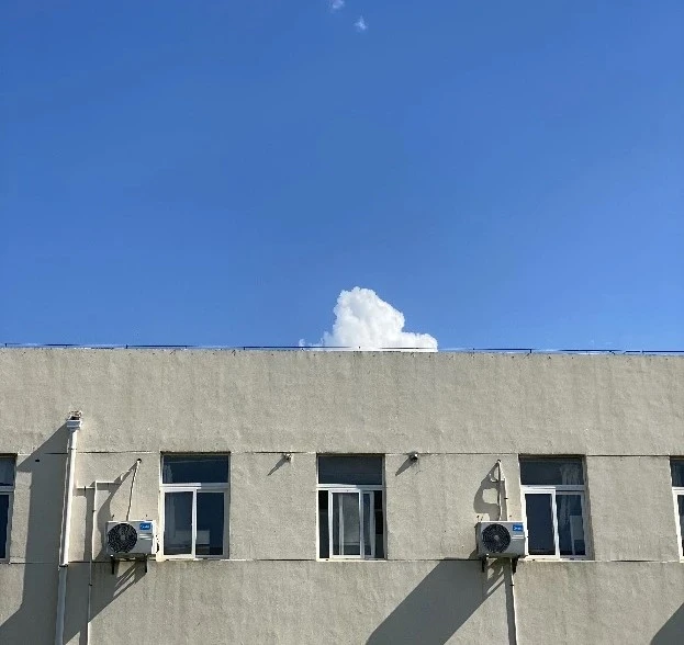 2023 总结