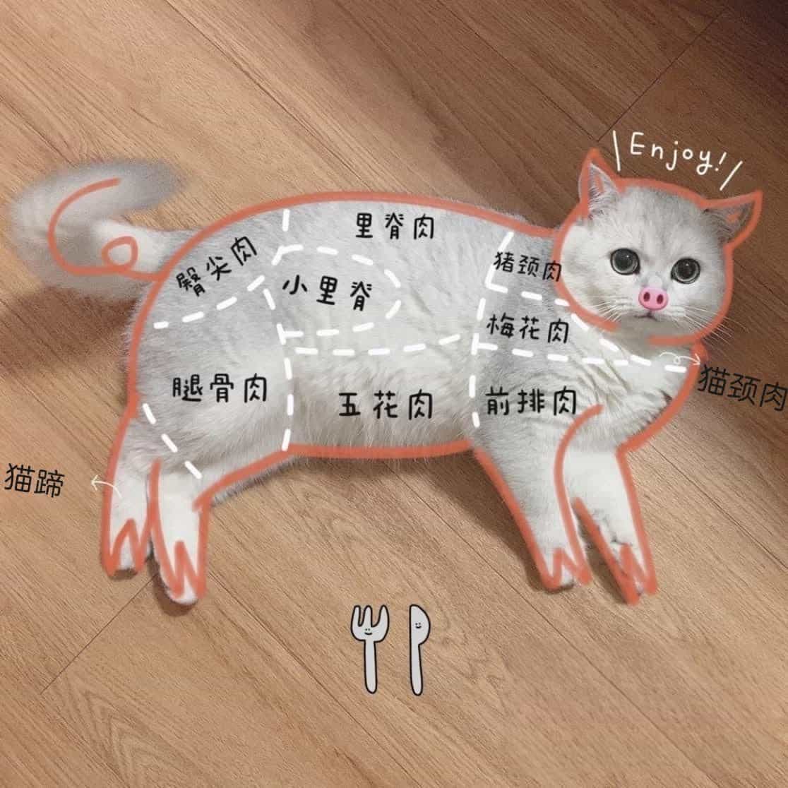 小问题合集（持续更新）